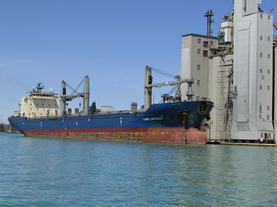 Saltie Lake Ontario taking on cargo at the Government Dock. Still no indication of where she goes with this load.