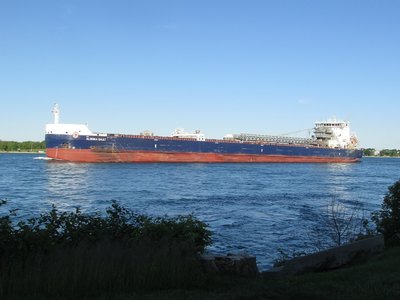 Algoma Sault (Goderich) sounded  warning blasts several times, as she approached the Bluewater Bridges.