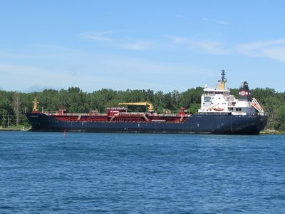 Algoscotia resting before her next dispatch.