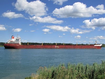Late afternoon saw CSL's Oakglen (built in 1980) down-bound to an un-named destination.