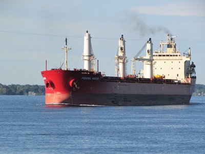 Federal Hunter entering Chemical Valley on her way to Burns Harbor