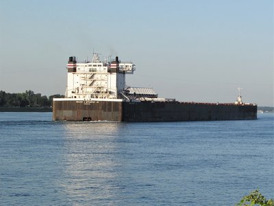 Walter J. McCarthy loaded with coal for the St. Clair Power Plant.