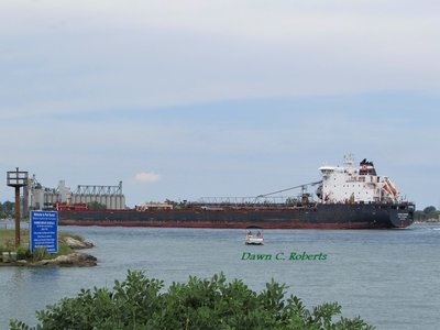 Algoma Mariner passing the Maritime Center on her way to Burns Harbor.