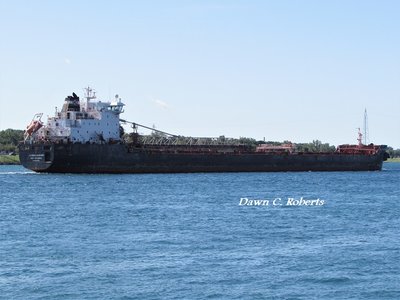 Algoma Mariner on her way to Quebec City.