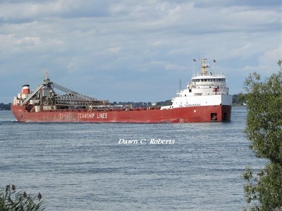 CSL Tadoussac (Nanticoke) is another ship I've not seen in awhile.