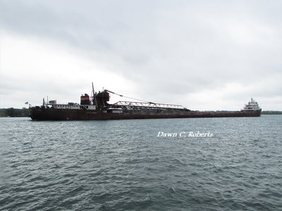 Clouds are building and a storm watch is in effect. Ms. B seems to encounter frequent rain or storms her past few trips!