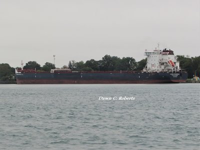 Algoma Strongfield at the Corunna Fuel Dock.