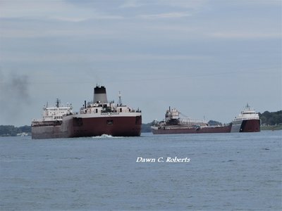 What a contrast in both their sizes and horn output of these two workhorses!