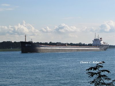 Tim S. Dool (Thunder Bay) spent most of the day at the Corunna Fuel Dock. When  I saw her for the first time (2008 Opening Day at the Soo) she was known as the Algoville.