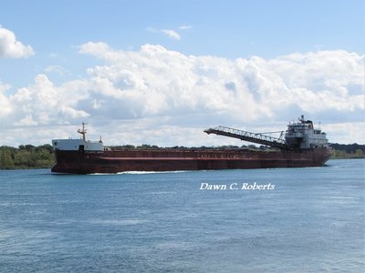 Atlantic Huron (Thunder Bay) passing Stag Island at noon.