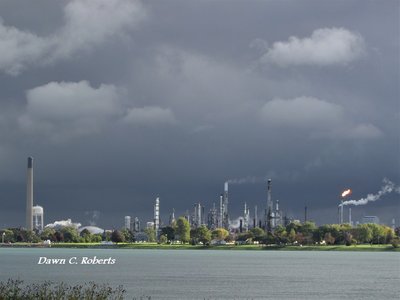 Skies were clear when I arrived at the river this morning, but rain clouds quickly moved down from the NW creating a bold backdrop for sun-bathed Chemical Valley.