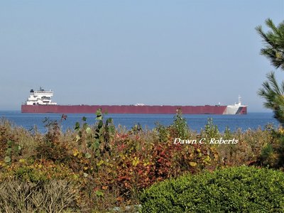 Edgar B. Speer (Conneaut) showcased behind Autumn colors.