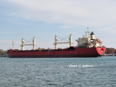 Saltie Federal Dart (now down-bound on Lake Michigan but with no verifiable destination) at Marysville.