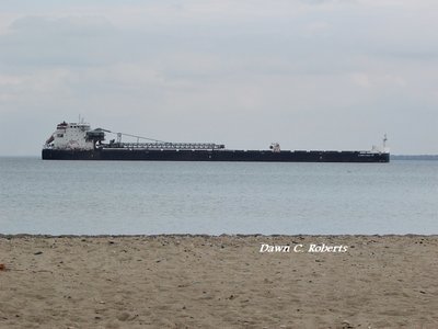 Algoma Niagara (Detroit) on Lake Huron, above the Bluewater Bridges.