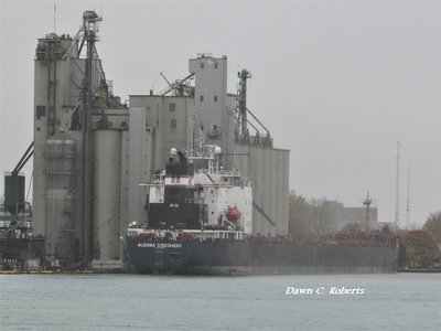 Algoma Discovery at the Sarnia Government Dock.