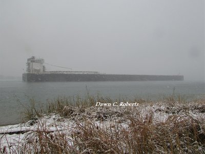 Freighter with coal for the St. Clair Power Plant.