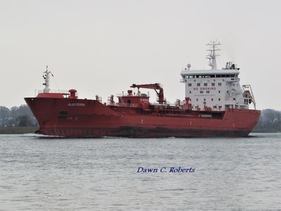Tanker Algoterra (Sarnia) up-bound above Stag Island.