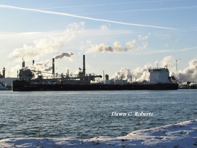 A perfect picture of the frigid temperatures as Algoma Innovator sits out from the lower Sarnia fuel docks.