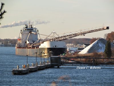 American Courage had just arrived at the Bluewater Aggregates dock, in Marysville and was preparing to discharge her cargo.