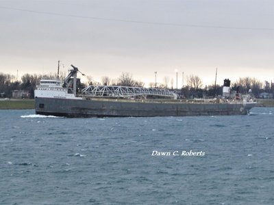 Mississagi (Cedarville). By this time, a very strong wind was buffeting me, and even bracing myself against a tree, it was a real challenge to get a crisp image of her.