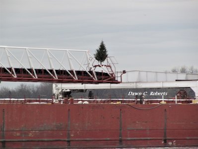 Oh, Christmas Tree! Seems like the Spirit of Christmas is showing up on more vessels this year.