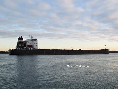 Algoma Guardian (Port Cartier) Approaching Stag Island.