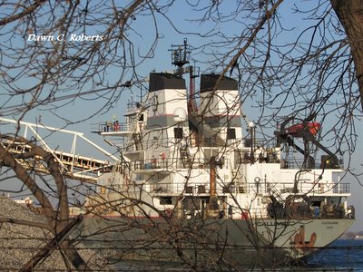 Calumet's stern and boom through the trees.
