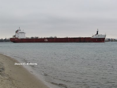 Spruceglen (Montreal) passes the mostly water covered remains of Marysville's Chrysler Beach.