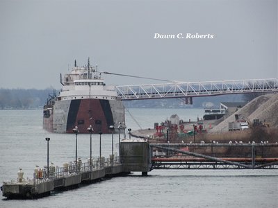 Philip R. Clarke discharging cargo at the Marysville aggregates facility, with a flock of gulls watching the action.