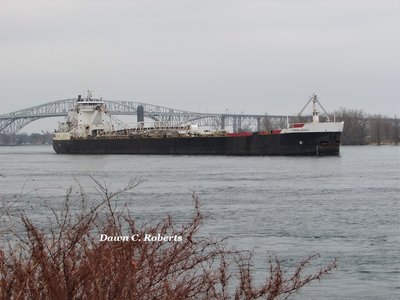 Algoma Buffalo (Sandusky, OH) at Port Huron.