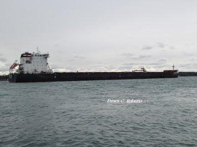 Algoma Equinox (Hamilton) from the Marysville river walk.