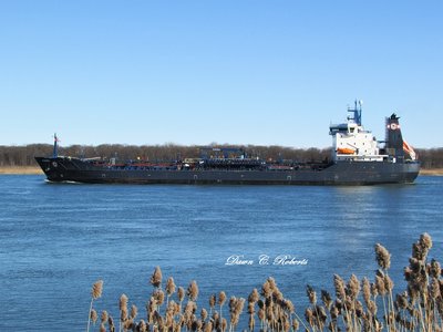 Algosea started out in Nanticoke and, off Stag Island,  is almost to her Sarnia destination.