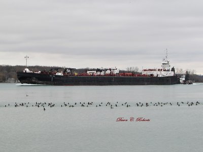 Tug Michigan and barge Great Lakes (no current destination) approaching Marysville this afternoon.