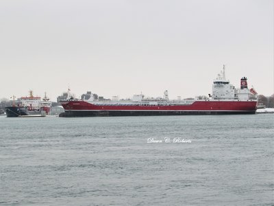 Algonorth (foreground) with Algonova and CCG Samuel Risley in the Sarnia slip.