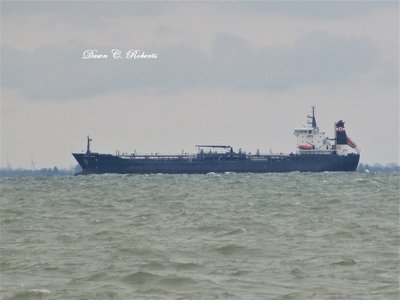 Algoma Hansa surrounded by choppy water, as seen from the County Park.