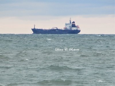 Tanker Algoma Hansa in the Sarnia Anchorage, as seen (zoom lens) from the Thomas Edison Parkway.