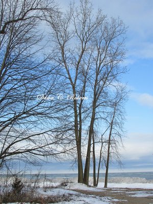 Ft. Gratiot County Park