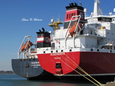 Sterns of Algonova and Algonorth.