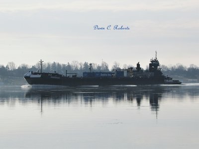The river was so still, and I find reflections so captivating!