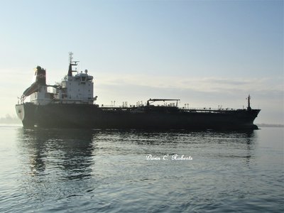 Algoma Hansa at Mariner's Park, Marine City.
