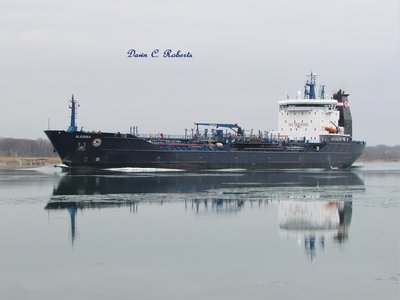 Algosea up-bound to Sarnia, above Stag Island.