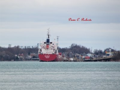 Stern view of Iver Bright (from the Junction Buoy parking lot) up river at the south Sarnia Fuel Dock.