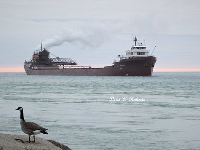 Sunrise and Lee A. Tregurtha (Cleveland) arrived at the St. Clair River about the same time.
