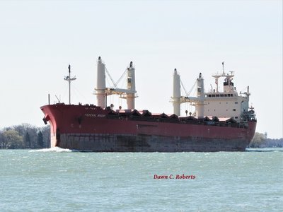 Saltie Federal Biscay (Thunder Bay) passing Marine City at noon.