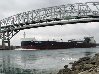 Algoma Conveyor (Goderich) with an unscheduled stop in the Sarnia Anchorage to wait out strong winds.