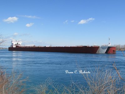 Edwin H. Gott (Conneaut) under gorgeous blue skies at Port Huron.