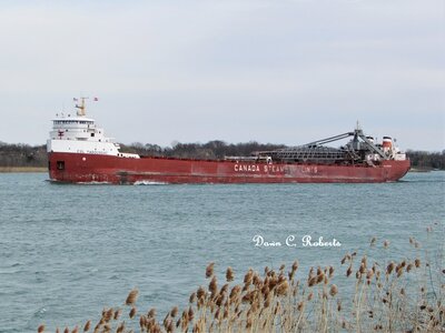 CSL Tadoussac (Superior) at Stag Island.