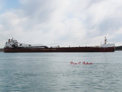 CSL Laurentien (Nanticoke) from the Junction Buoy, at Marysville.