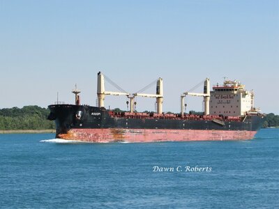 Saltie Rodopi (Thunder Bay) passing Stag Island.