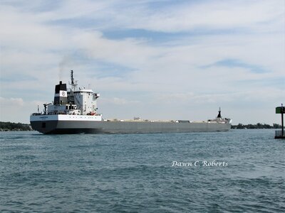 Kaministiqua (Sorel) passing Marysville at dinner/supper time.